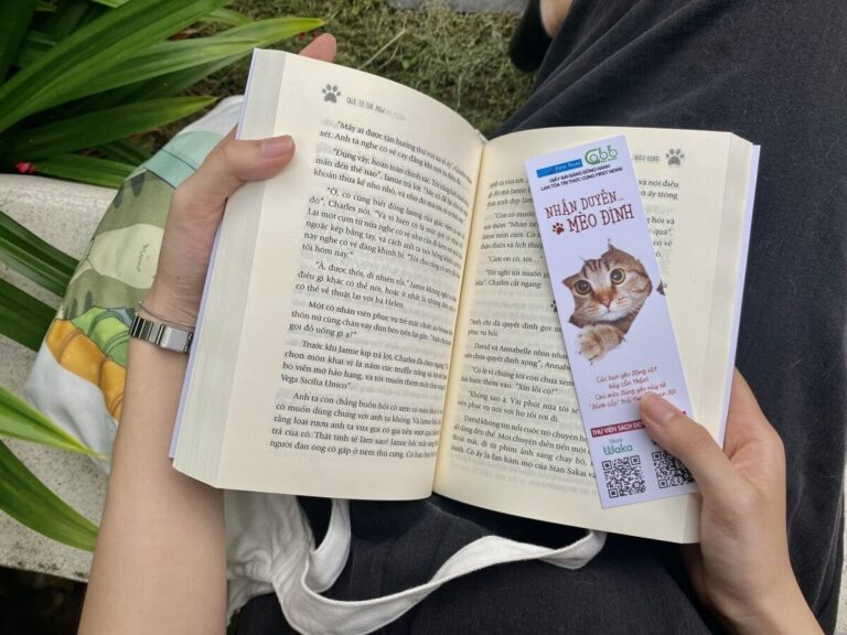 Nhân Duyên Mèo Định – Về Chú Mèo Se Duyên Có Một Không Hai